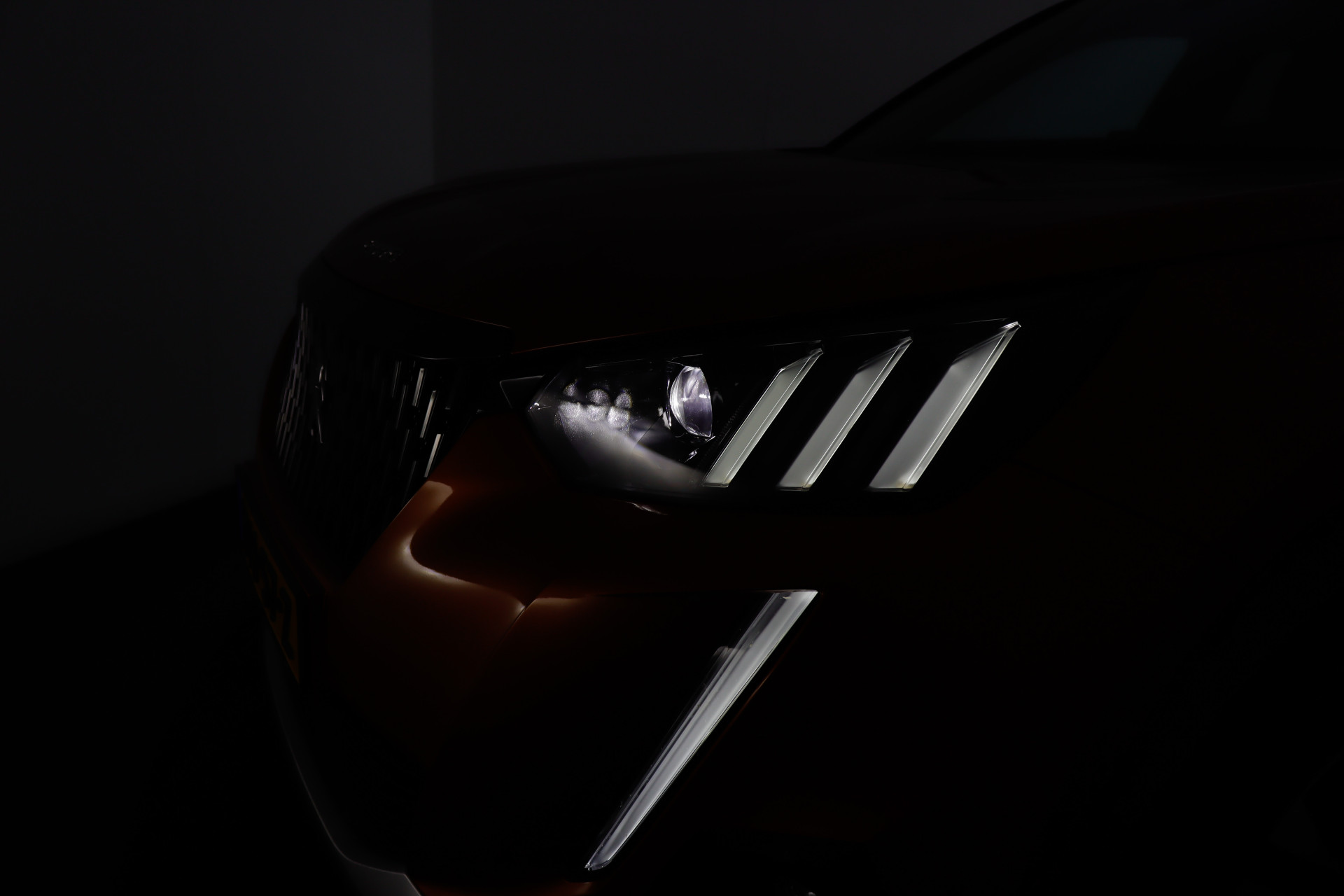 45598823-10.jpg