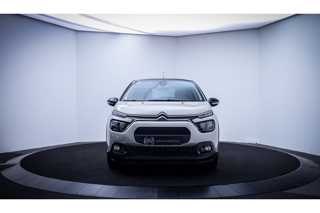 53085282-1.jpg